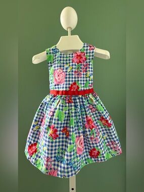 Nannette Kids Girls Blue Gingham Floral Dress with Red Waistband